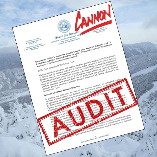 Cannon FY14 Audit