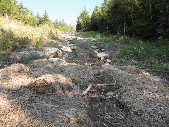 Sky Line erosion at Mittersill, September 2011