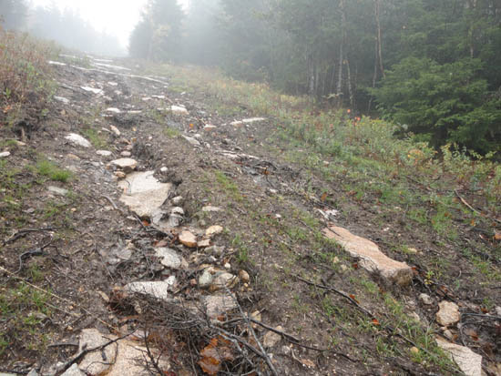 Sky Line erosion at Mittersill, October 2011