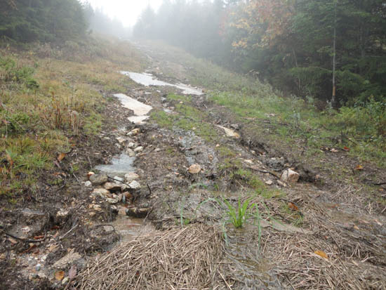 Sky Line erosion at Mittersill, October 2011