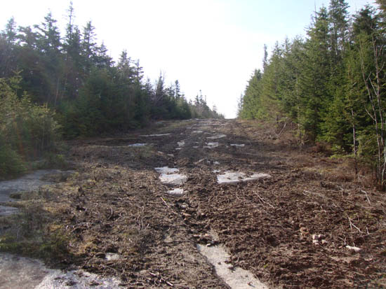 Sky Line erosion at Mittersill, May 2011