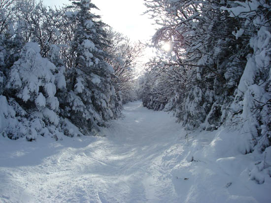 Upper Taft Trail from the top of the Mittersill chairlift area, February 2008