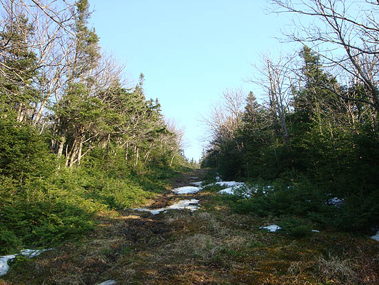 Upper Taft Trail on Mittersill, April 2009