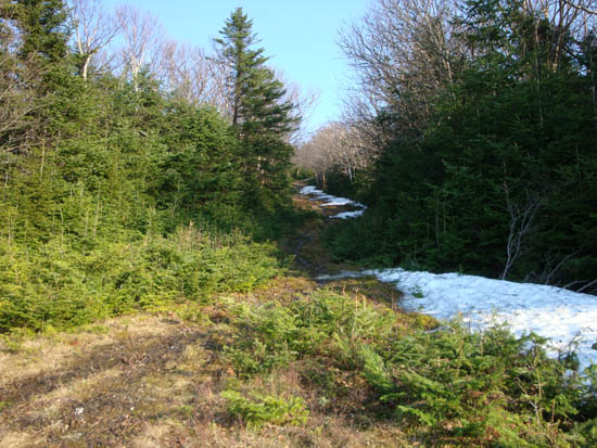 Upper Taft Trail from the top of the Mittersill chairlift area, April 2009
