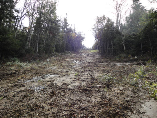 Upper Taft Trail on Mittersill, September 2010