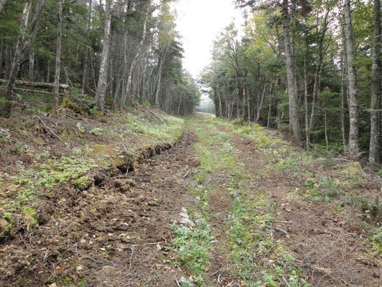 Upper Taft Trail on Mittersill, September 2010