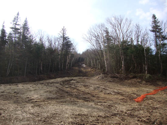 Upper Taft Trail from the top of the Mittersill chairlift area, May 2011