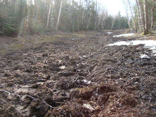 Upper Taft Trail on Mittersill, May 2011