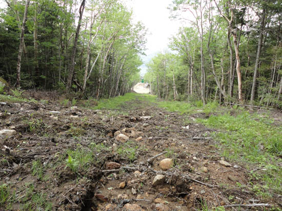 Upper Taft Trail on Mittersill, June 2011